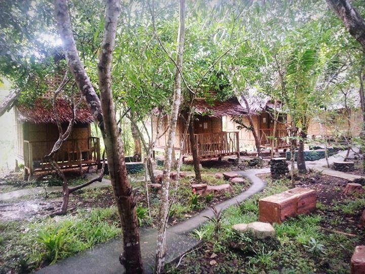 팡라오 Bohol Coco Farm 호스텔 외부 사진