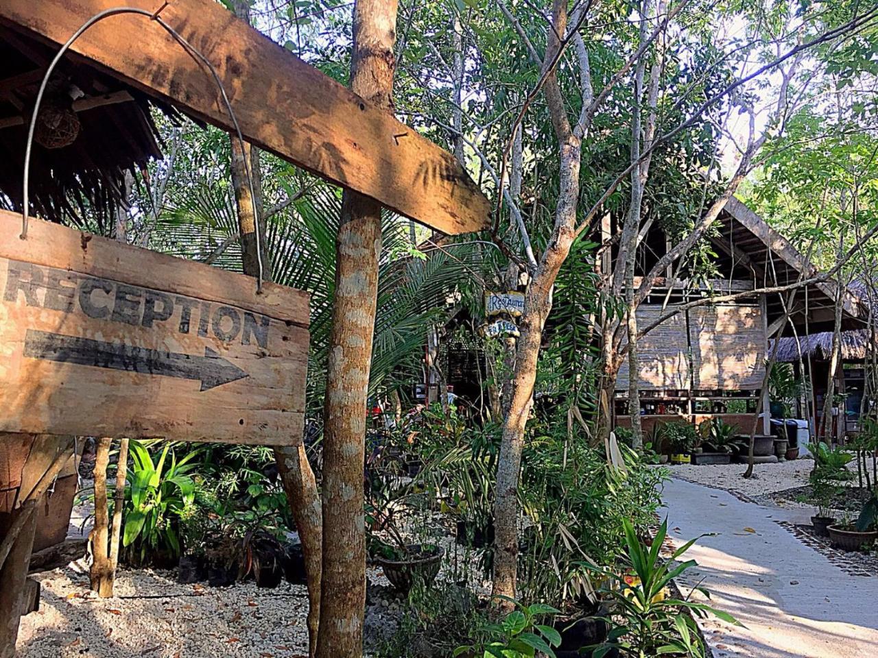 팡라오 Bohol Coco Farm 호스텔 외부 사진