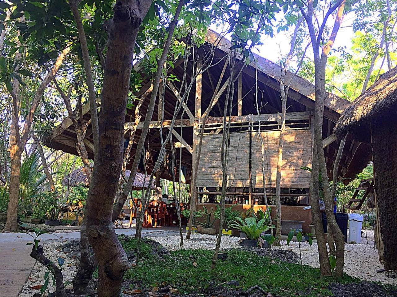 팡라오 Bohol Coco Farm 호스텔 외부 사진