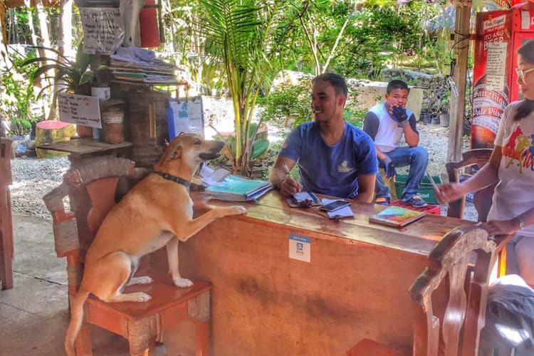 팡라오 Bohol Coco Farm 호스텔 외부 사진